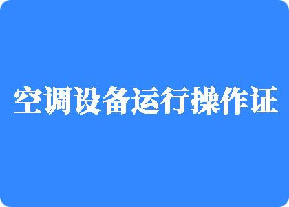 美女的小逼被帅哥的大鸡巴猛操在线观看制冷工证