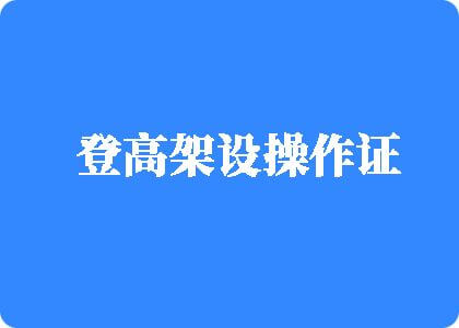 日本人日BB登高架设操作证